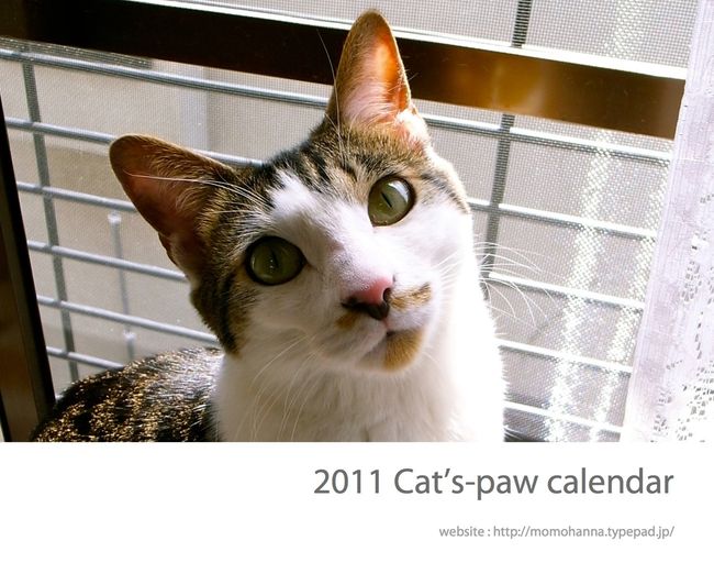 2011_calendar