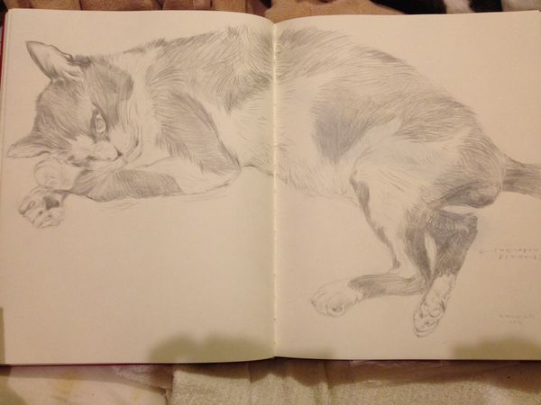 Zorrodrawing