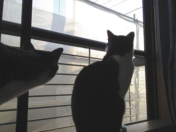 IMG_1701 IMG_1701
