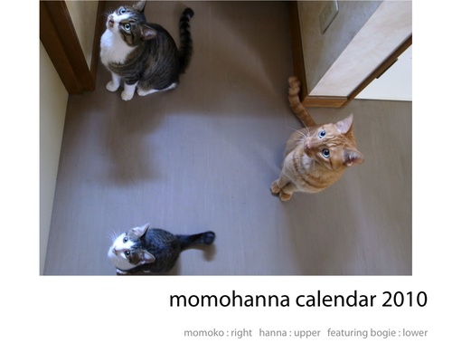 Calendar2010